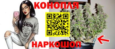 spice Обнинск