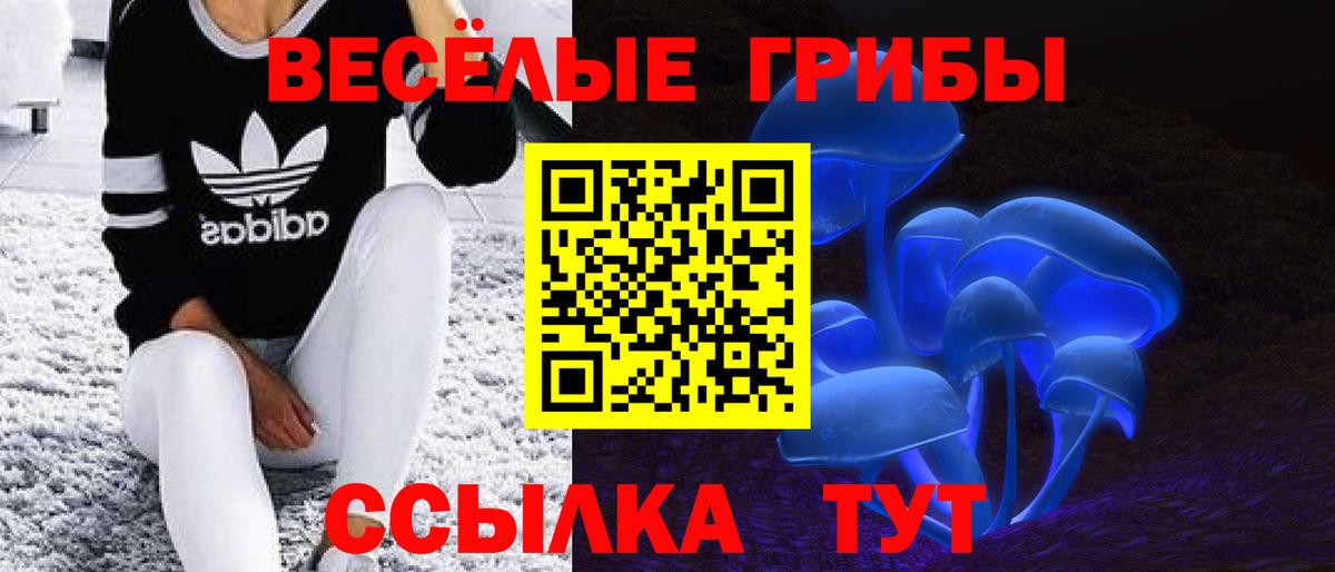 Галлюциногенные грибы Cubensis Тара