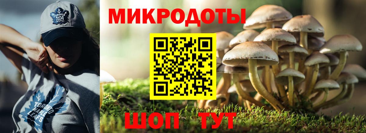 Тара  Галлюциногенные грибы GOLDEN TEACHER  Вход с VPN 